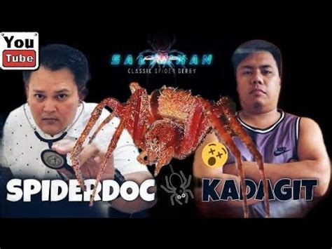 kadagit|SpiderDoc vs Kadagit. HIGHLIGHT FIGHTS of .